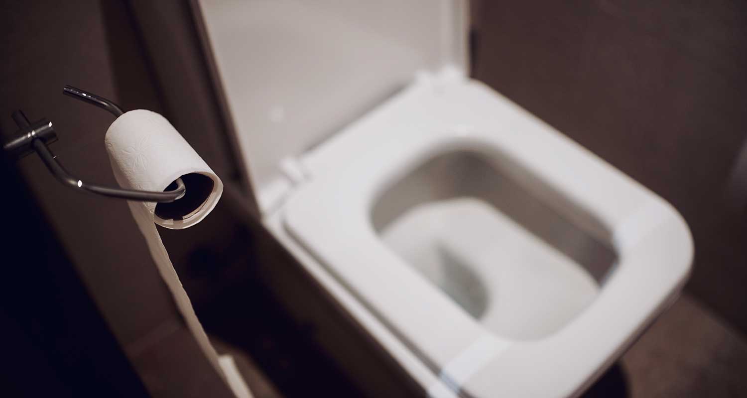 things you shouldn't flush in a toilet