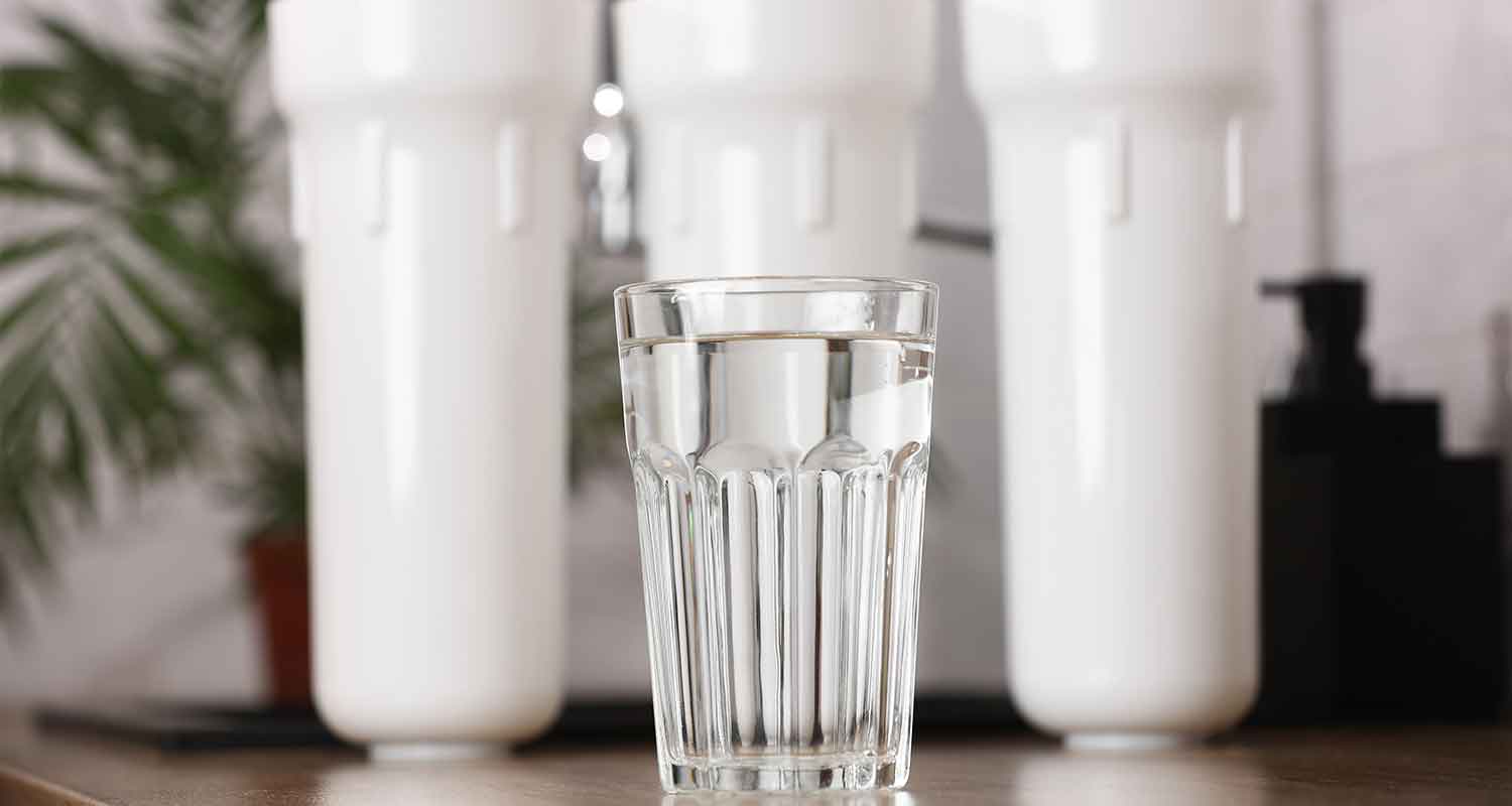 Is it worth getting a water filtration system