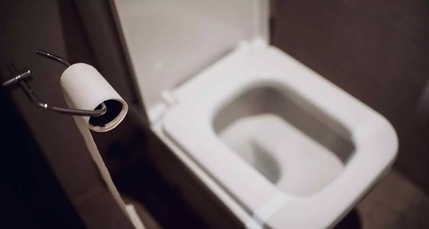 things you shouldn't flush in a toilet