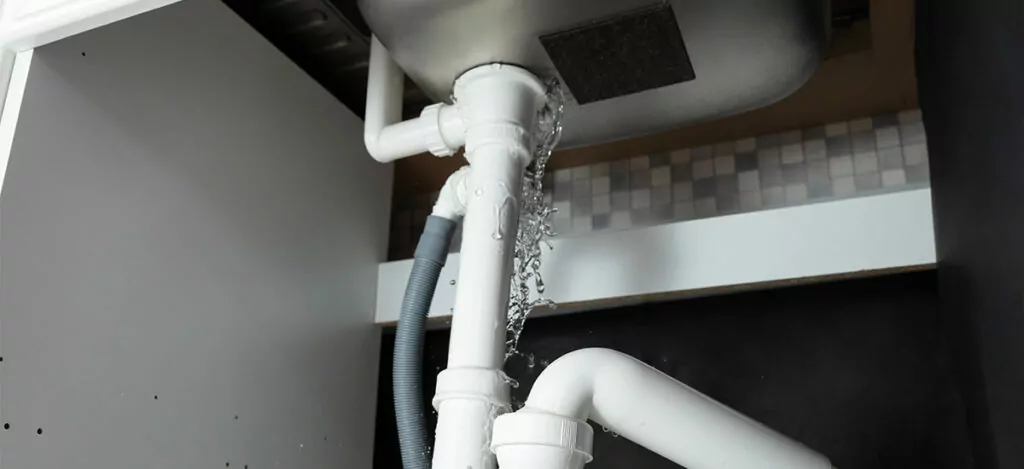 when to hire a professional plumber. Image of a leak which needs an expert to service